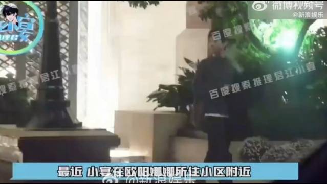 最近有媒体拍到欧阳娜娜和安雨一同出去逛街…_新浪新闻
