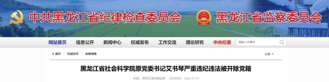 黑龙江省纪委监委网站截图。