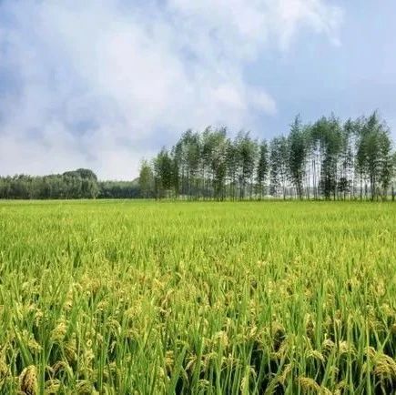 促消费方案重点任务