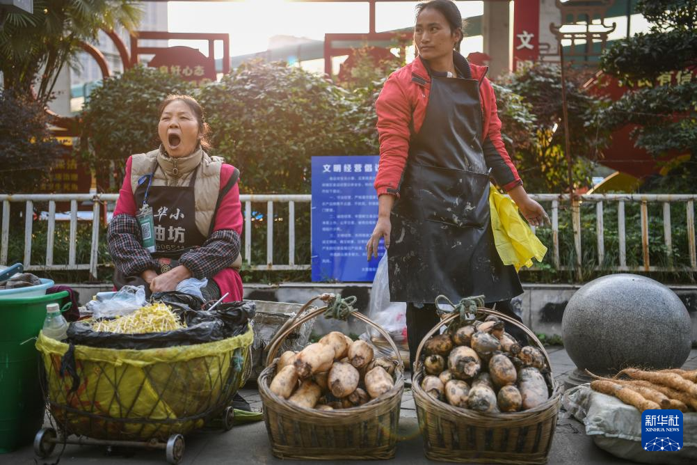 ▲ 乘坐252路“惠农专线”公交车进城的菜农在贵阳市大营坡附近卖菜（11月7日摄）。