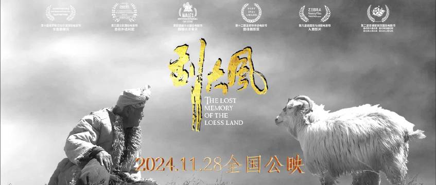 电影《刮大风》11月28日全国公映|个人生活|陕北|国际电影节|西安|温哥华_新浪新闻
