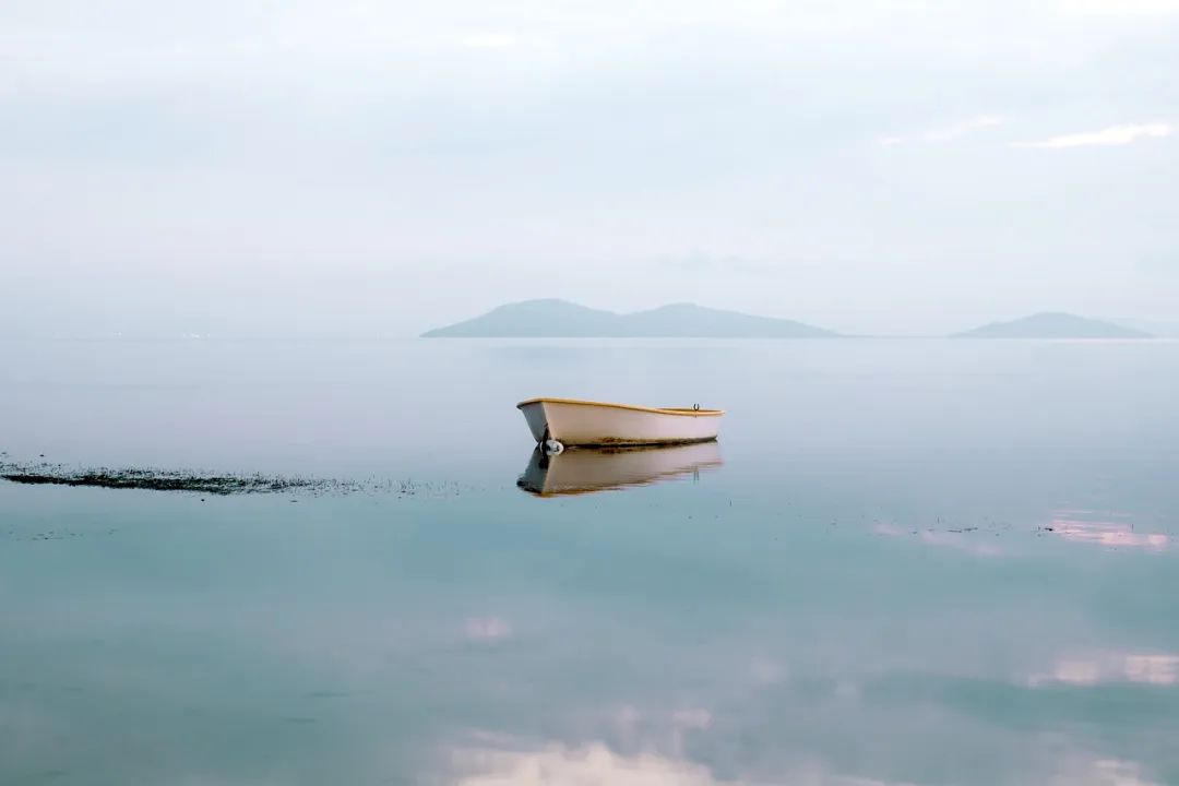 （图源：pixabay）