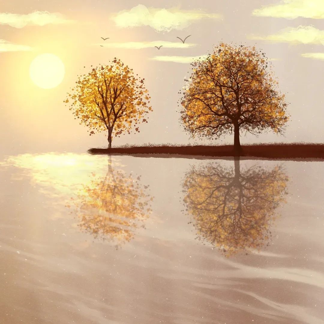 （图源：pixabay）