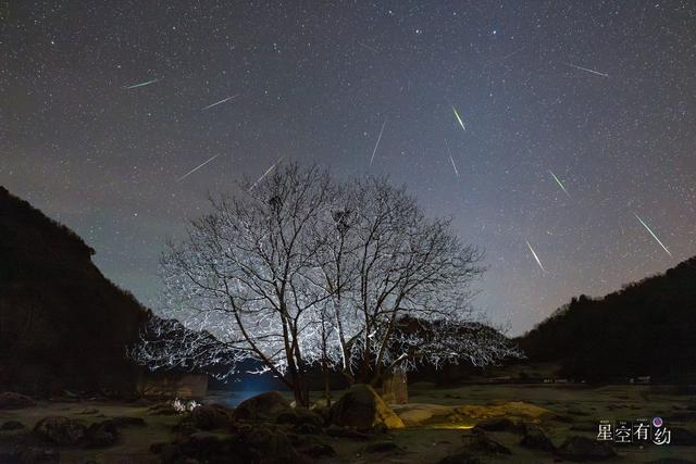 2023年11月19日在陕西省汉中市留坝县狮子沟牧场拍摄的狮子座流星雨