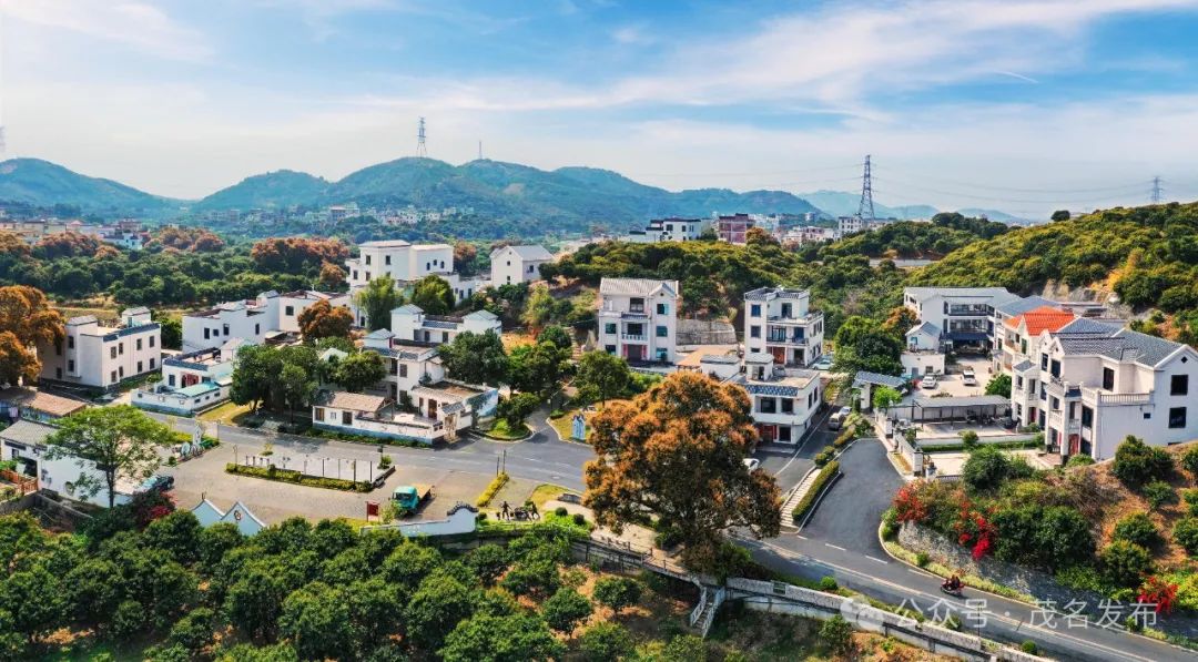 高州根子镇桥头村.丘立贺 摄