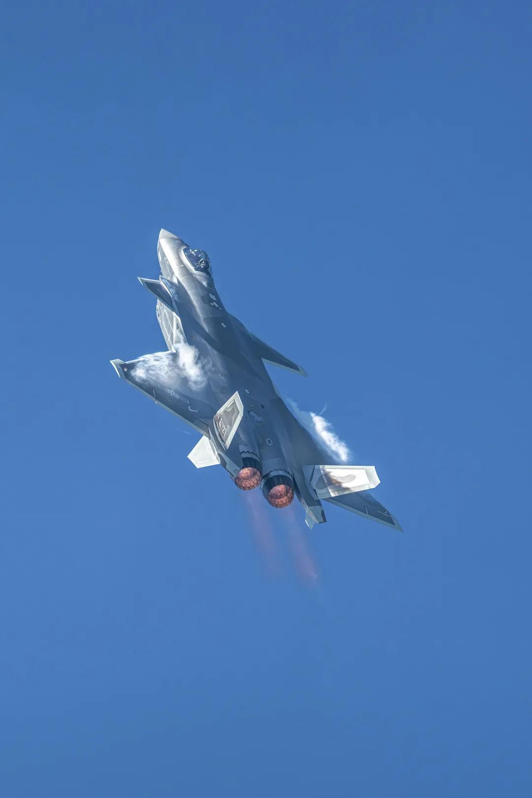 (杨江春 摄于珠海第十五届中国航展)▲ 直冲云霄 歼