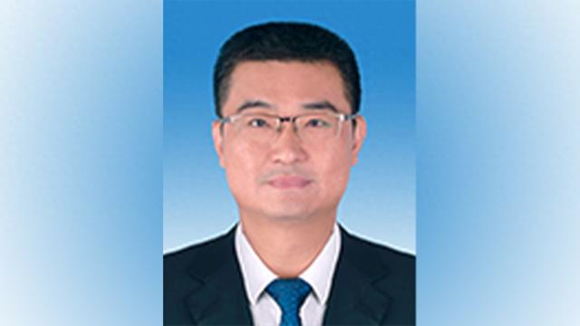 刘巍 南边电网 图