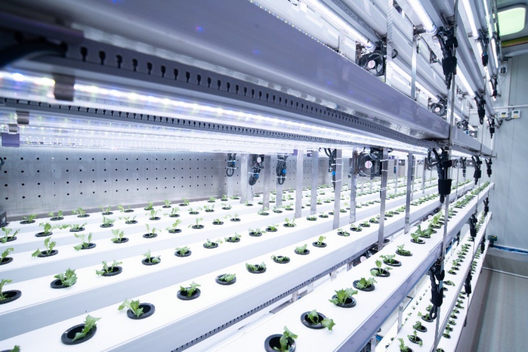 ▲在拼多多独揽的农研大赛上，6支团队探索农研技艺的实验和应用。李傲|摄