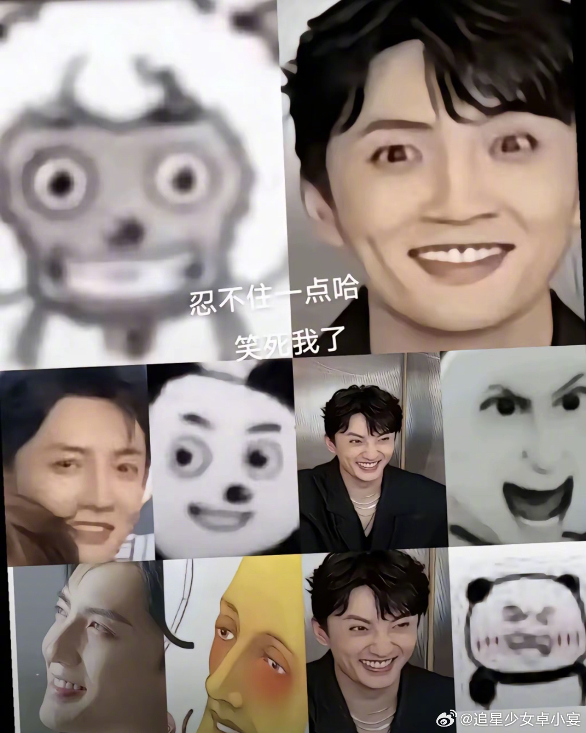 神似表情包之谜|表情包集锦|杨仕泽|艺人|撞脸|喵喵_新浪新闻