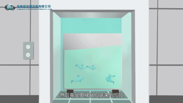 鱼儿也能“坐电梯”？12T菱王电梯助力生态保护！|海南省_新浪新闻