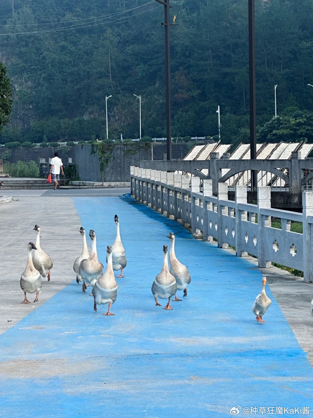 ️ʜᴇʟʟᴏ ̈下午好! 今天一个人出门和地球约个会|地球_新浪新闻