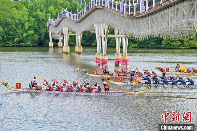 图为重庆队、福建队、吉林队、广东队(从上至下)选手在男子组(小龙舟)500米直道赛中。中新社记者 骆云飞 摄