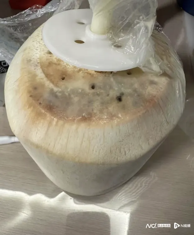 △椰青外边缘似乎已经出现霉斑状的黏液