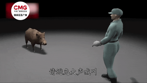 ▲图片来自国家应急广播