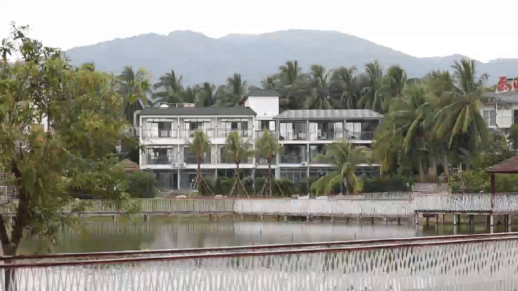 海南三亚一黎族山村的蝶变密码