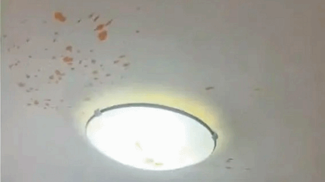 图源：山东消防 