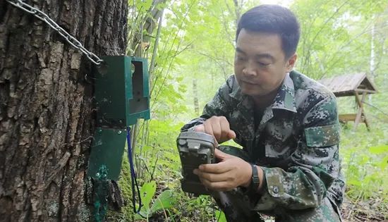 东北虎豹国家公园里，野生动物巡护员在群山间巡护。视觉中国供图