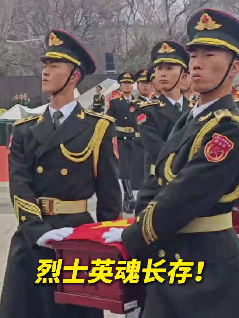 英雄安息！礼兵轻扶烈士棺椁无声礼步护送|志愿军_新浪新闻