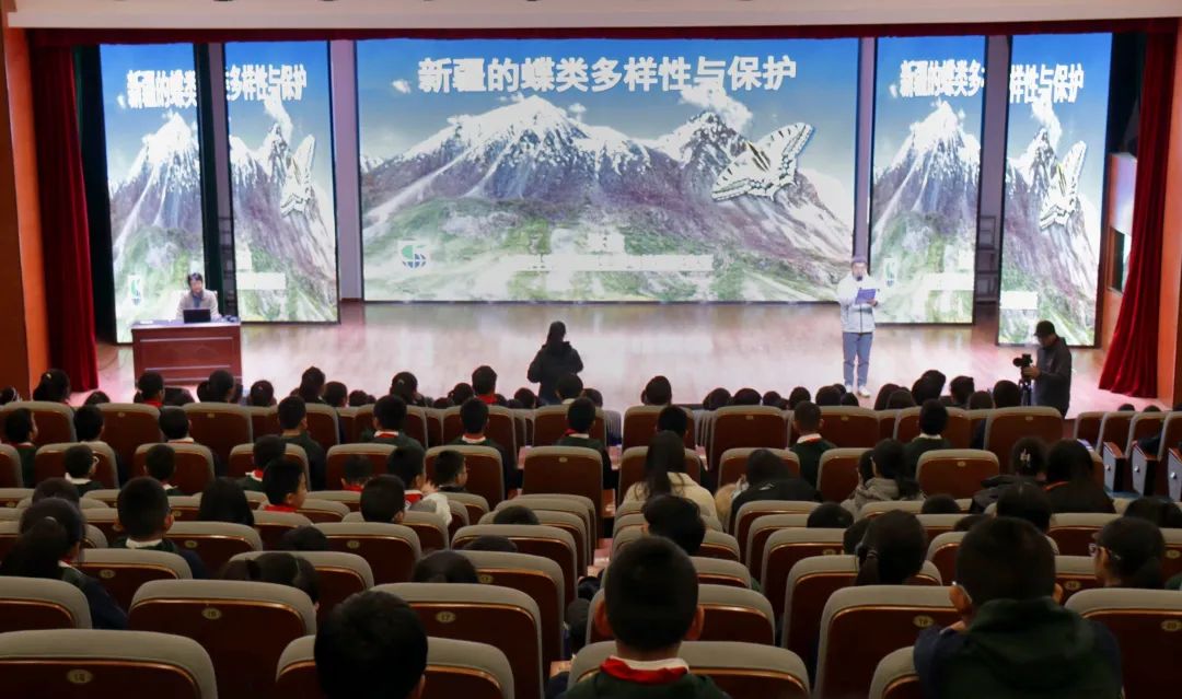 在北京师范大学保定实验学校，中国科学院新疆生态与地理研究所新疆自然博物馆专家围绕新疆的蝴蝶进行讲座。闫晗摄