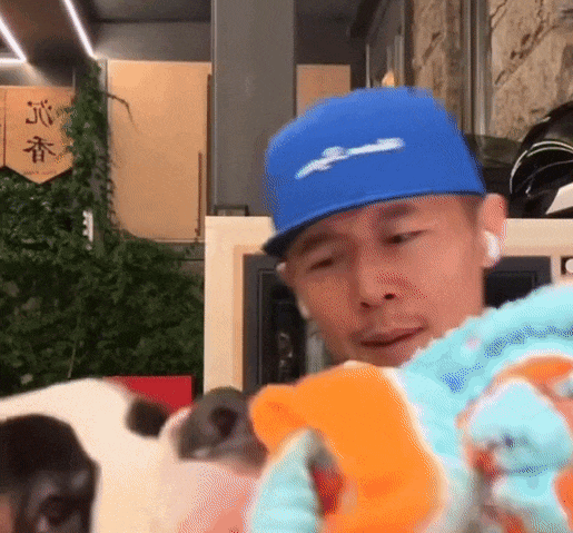 （图/大冰直播截图）