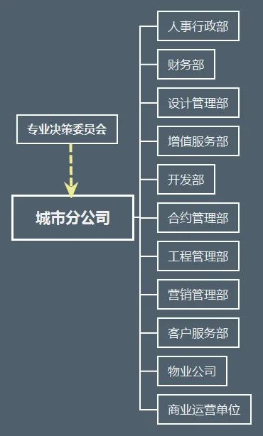 华润城市公司构架