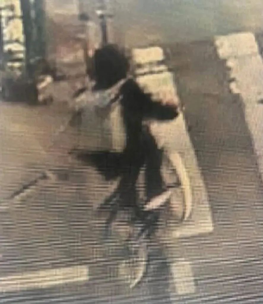 监控画面夸耀枪手骑着单车兔脱，图 / 转自红星新闻