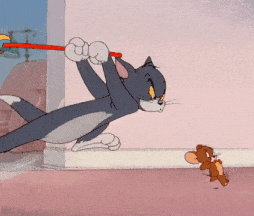 表情包丨新出的猫和老鼠动图②