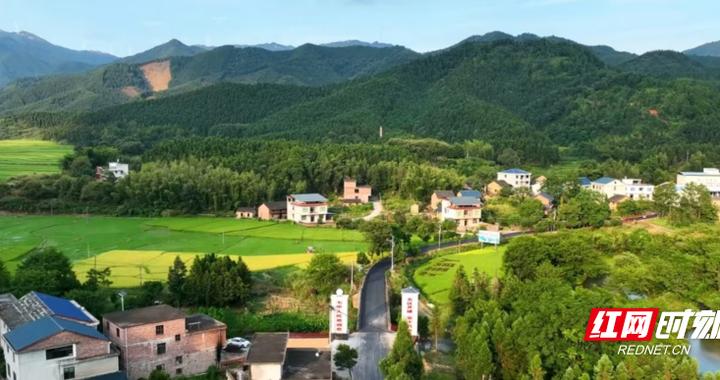 永兴县七甲乡：强化“四防” 全力筑牢森林防火安全屏障|森林防火|永兴县_新浪新闻