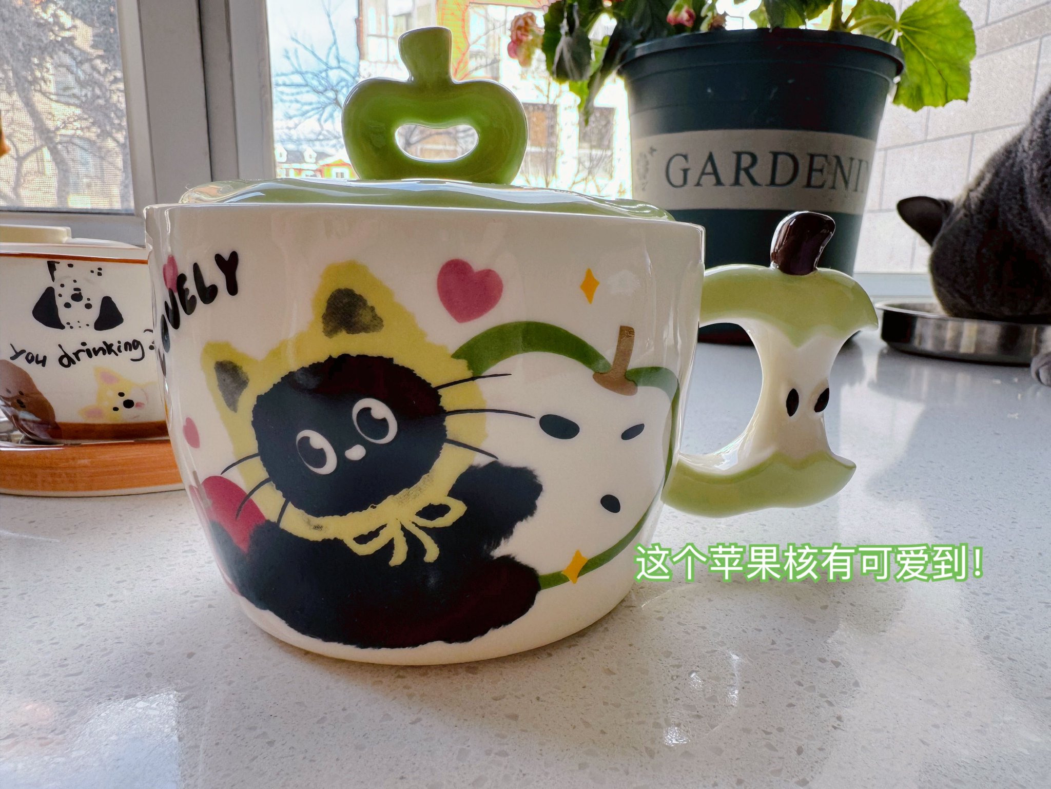 换新杯杯啦! 飞飞来给我带了好多漂亮杯子, 有猫有狗绿油油!|狗|猫_新浪新闻