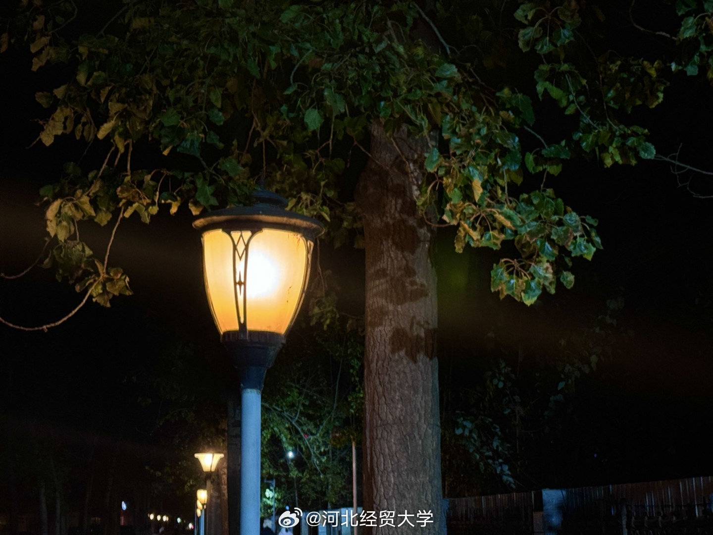 夜晚是一天中最美的时光,因为它是属于自己的安宁 ——卡尔·荣格 晚安|荣格|时光|晚安_新浪新闻