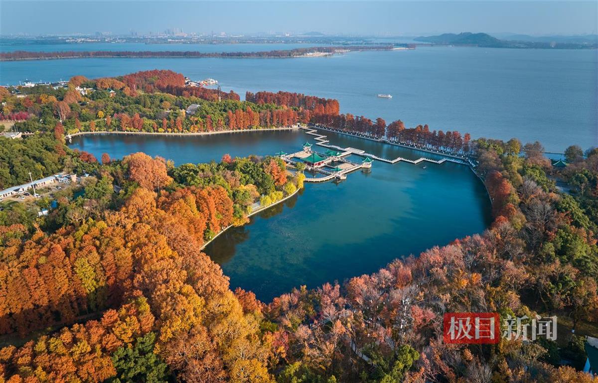 武汉东湖听涛景区:叠翠鎏金扮红妆|武汉市|东湖_新浪新闻