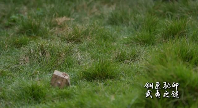 无论如何，武夷县之印就此消失，这位唐代县令徒劳地思索着一切可以补救的措施，在它的背后，可能也有一个焦急万分身影。