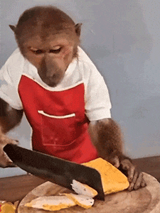 225_300gif 动态图 动图