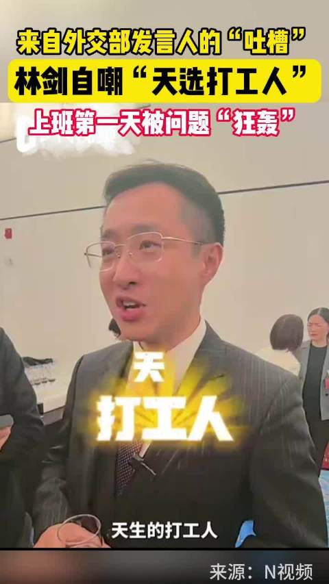 外交部发言人林剑自嘲天选打工人_新浪新闻