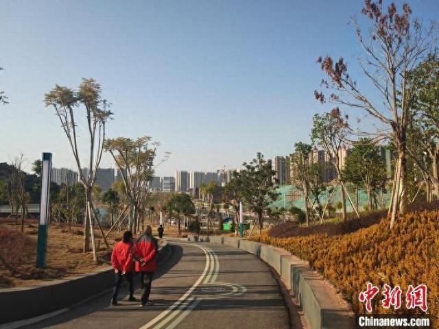 “推窗见绿、出门即公园”的信宜玉都新区一角。梁天宇 摄