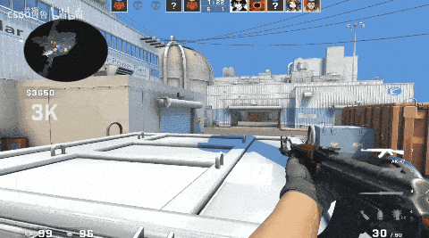 颗秒天赋初见端倪