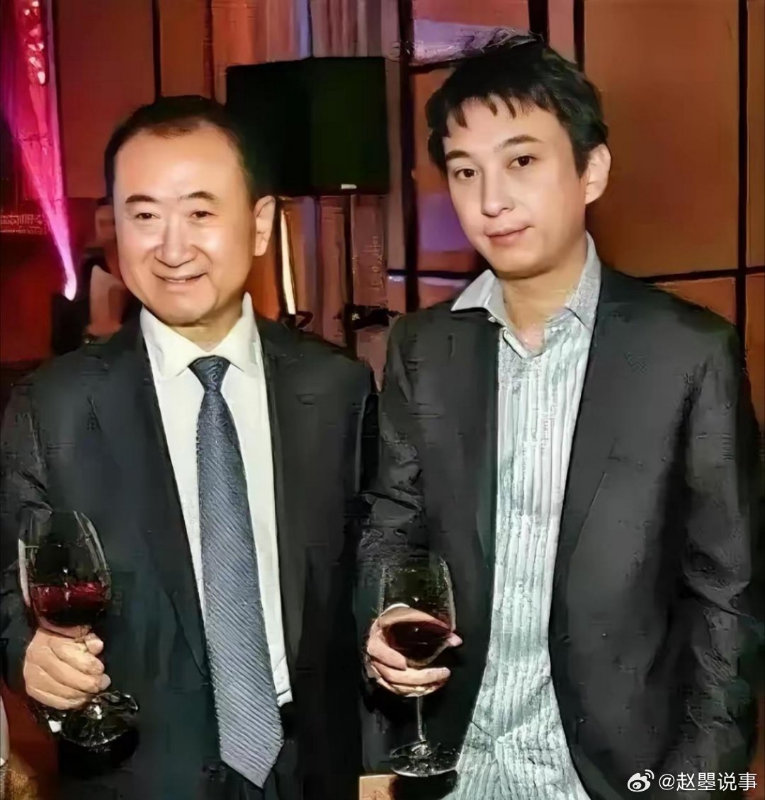 王健林10位家庭主要成员一览 1、王健林—原名王建林,今年68岁…|林宁|王义全|四川省|苍溪县|贡献_新浪新闻