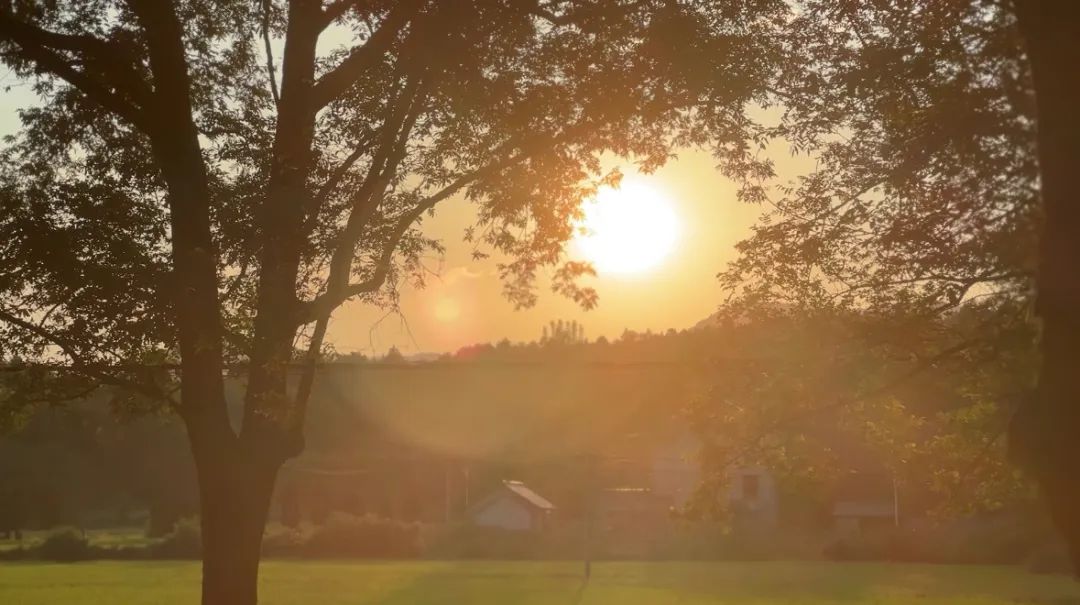 桃园村夕阳。徐牡宣伊 摄