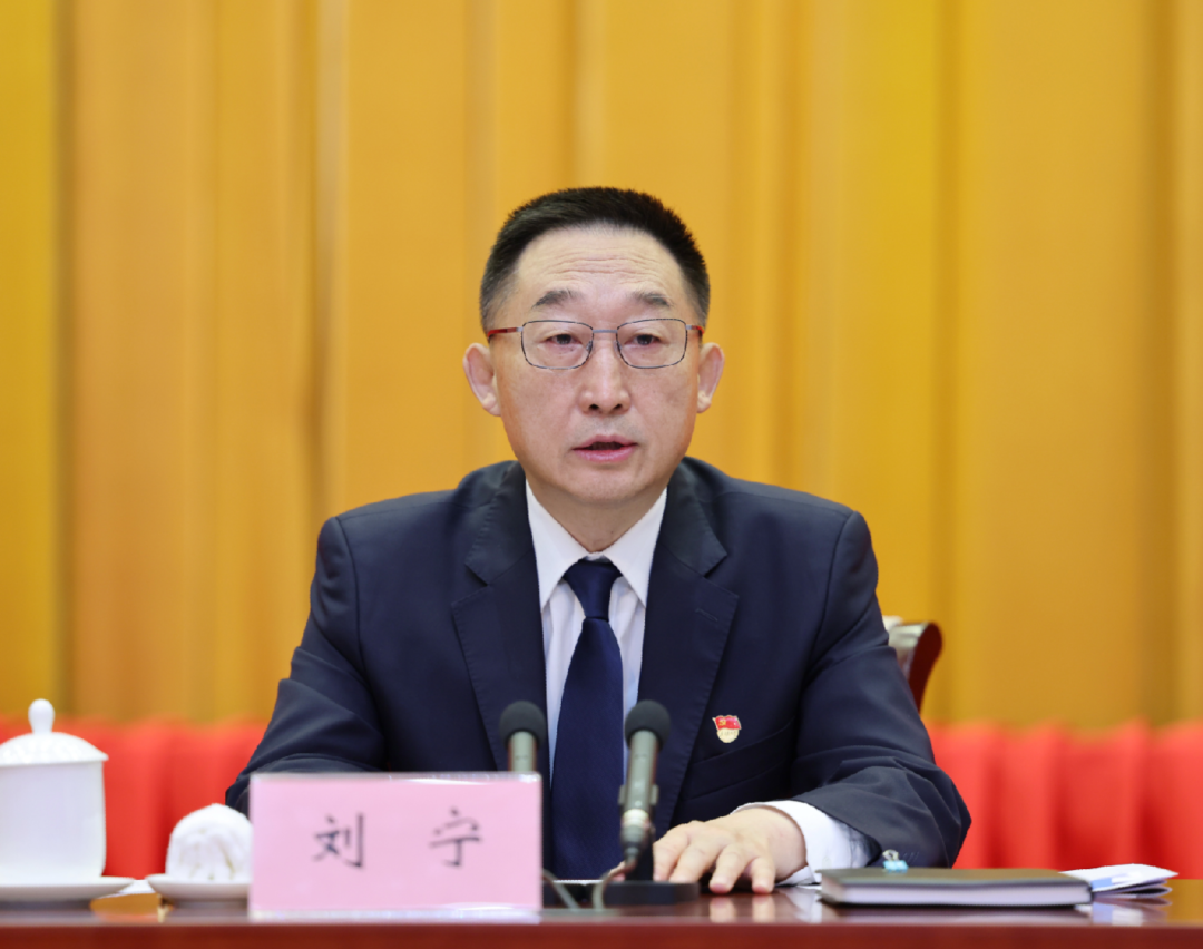 刘宁 资料图 图源:广西日报