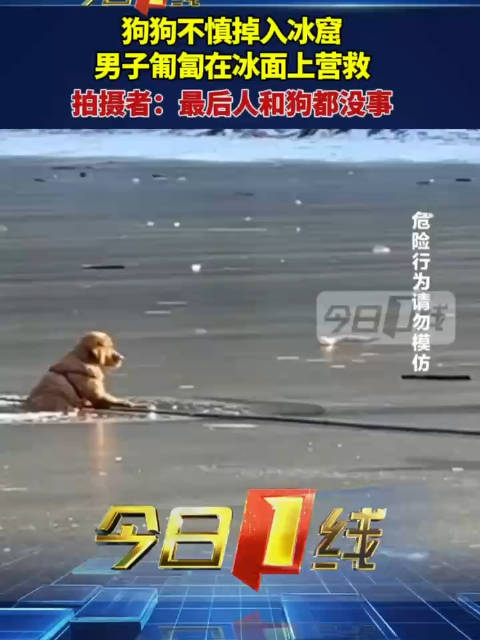 狗狗不慎掉入冰窟，男子匍匐在冰面上营救，拍摄者：最后人和狗都没事|人和|狗_新浪新闻