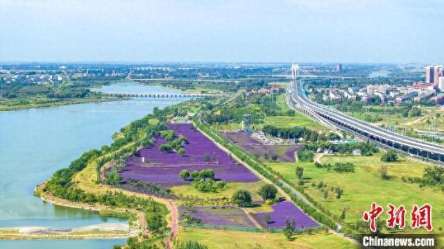 图为夏日的大黑河生态景观带(资料图)。 乐炎摄