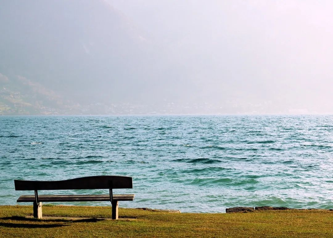 (图源:pixabay)