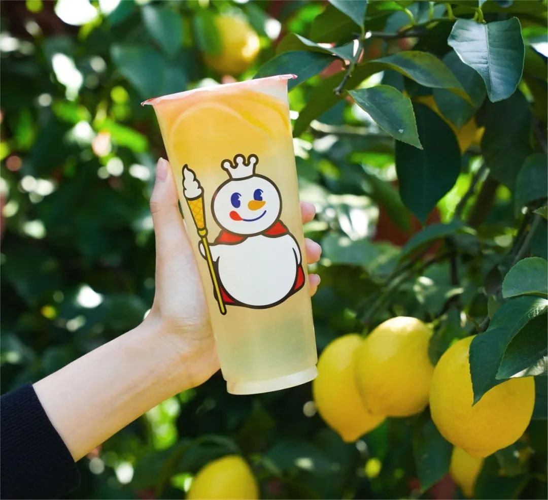 门店数量稳步增长蜜雪冰城规模化发展背后的秘密