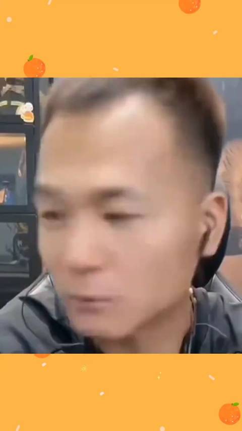 狗王潘宏的夜间挑战与狗趣生活:潘宏与狗狗的日常…_新浪新闻