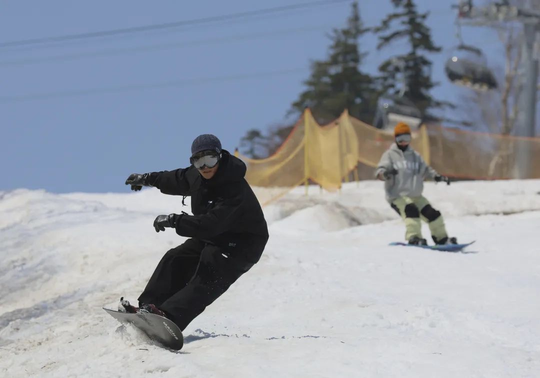 去日本滑雪的年轻人。图 / 视觉中国