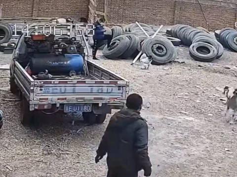 畜生有点不服气,这个怎么吃最好呢?_新浪新闻