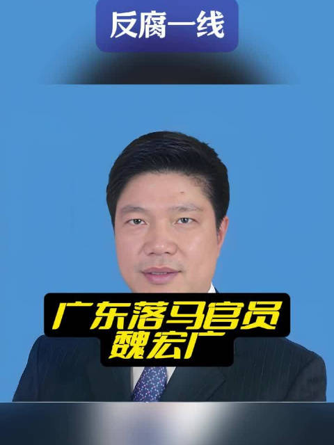 魏宏广,男,汉族,原广东省政府副秘书长,2020年1月被查,目前法院尚未判决|魏宏广|法院|纪委书记_新浪新闻