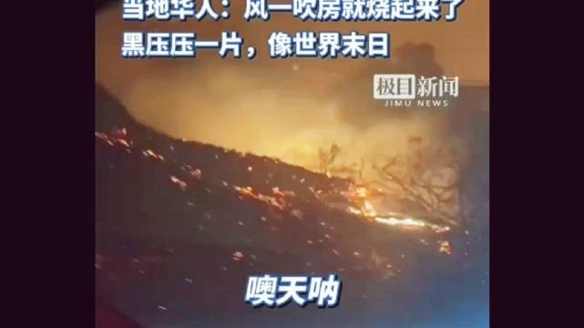 引起大火的原因还没查清楚吗?|大火|洛杉矶|受损_新浪新闻