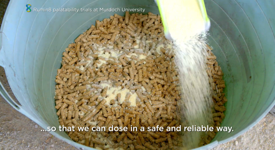 图 | Rumin8 的官网截图（来源：https://rumin8.com/）