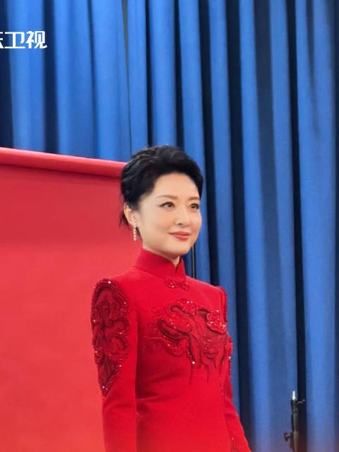 周涛再度主持山东春晚,气质超绝!|春节联欢晚会|周涛_新浪新闻